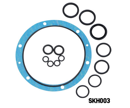 M-FLEX Seal Kit For Helm Pump