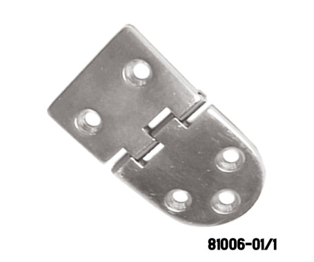 Heavy Duty Hinge S.S 316