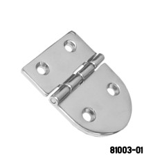 Stainless Steel Heavy Duty Hinge 316