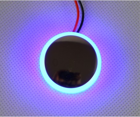 AAA - LED Courtesy, With S.S. 304 Cover