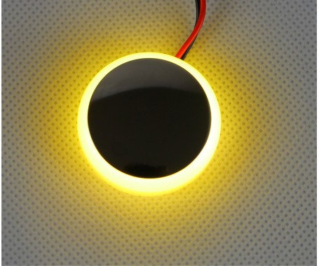 AAA - LED Courtesy, With S.S. 304 Cover