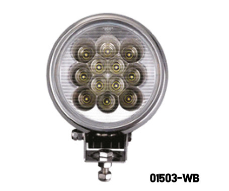 AAA - LED SPOT LIGHT (SM)