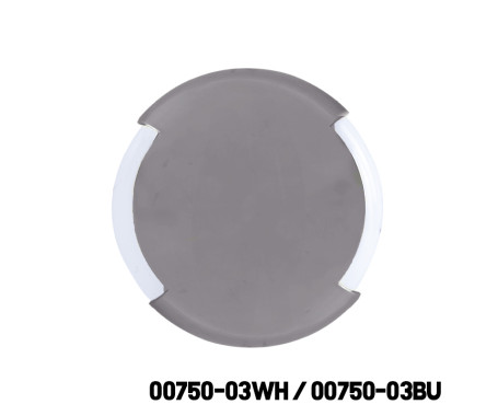 AAA - LED Courtesy, With S.S. 304 Cover