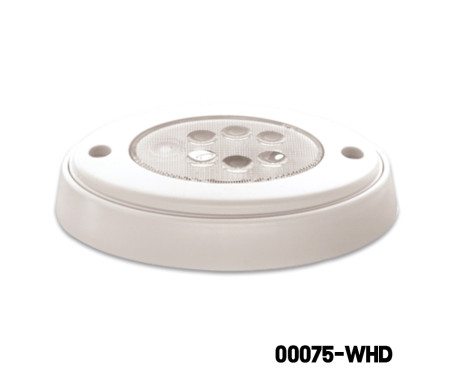 AAA - LED Light (SM)